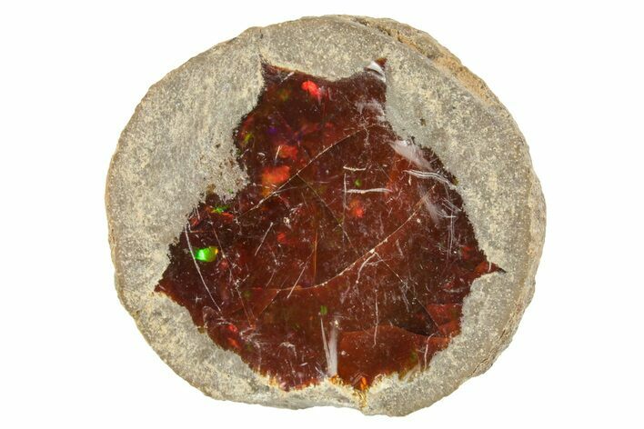 Ethiopian Chocolate Opal Nodule - Yita Ridge #369082